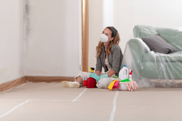 Reliable Mold Remediation contractor in Oakland, FL by WQB Mold Removal